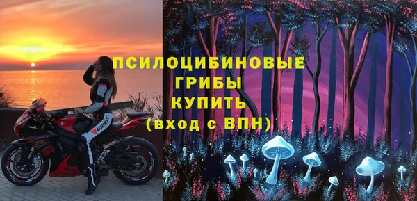гашик Надым