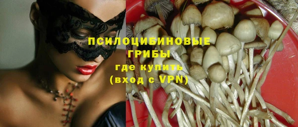 гашик Надым