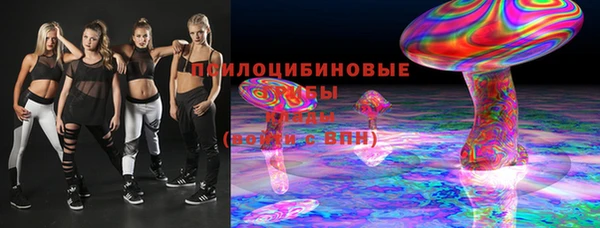гашик Надым