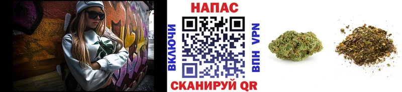 Бошки марихуана OG Kush  Купить  Лосино-Петровский 